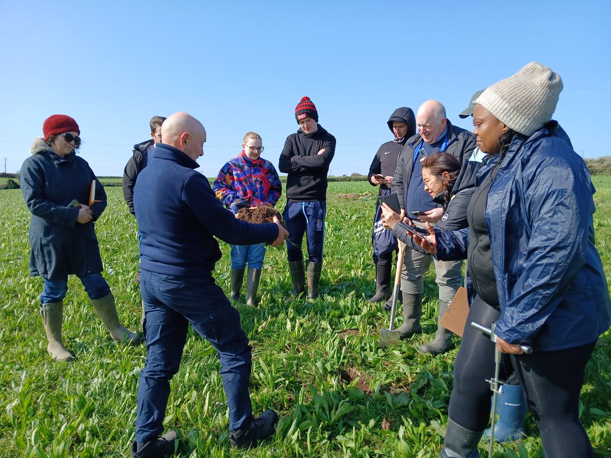 Geraghty_Notill's tweet image. Beautiful day for a field visit with our livestock management group. Focus on forages, diverse pastures & persistent multi-species mixes after 8 years. Secret: only cattle slurry as nutrient fertiliser @DeptOfSciSETU @SETUAgriculture @agriculture_ie @IrishOrganicA @organictrust