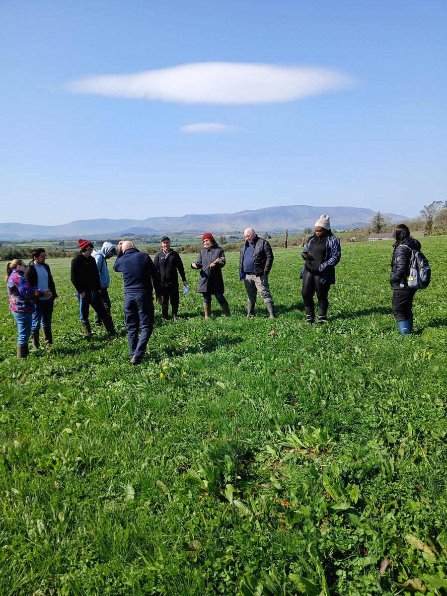Geraghty_Notill's tweet image. Beautiful day for a field visit with our livestock management group. Focus on forages, diverse pastures & persistent multi-species mixes after 8 years. Secret: only cattle slurry as nutrient fertiliser @DeptOfSciSETU @SETUAgriculture @agriculture_ie @IrishOrganicA @organictrust