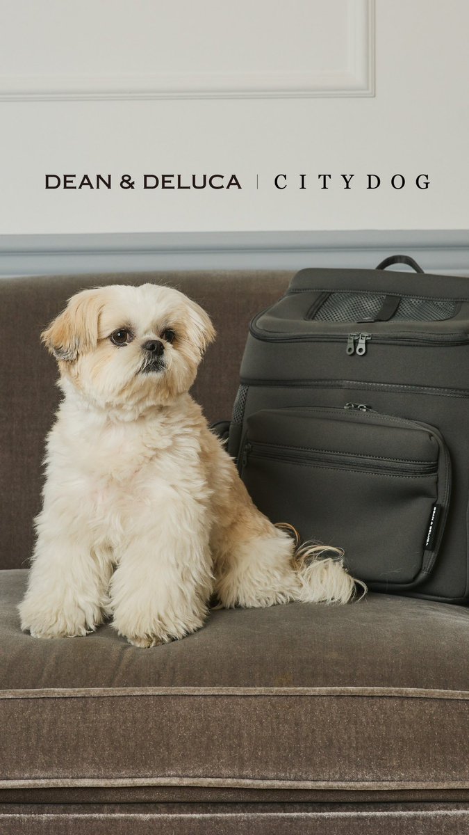 BokuEsteban's tweet photo. citydogのリュックやっと新調したよ
プロの方の撮影付き♡
#citydog
#購入品
#popup https://t.co/Y90hJT2Ixs