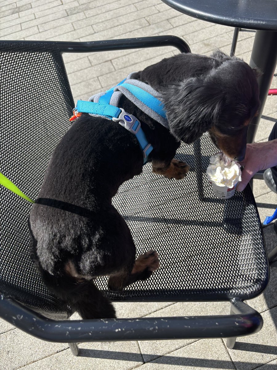 Thank you <a href="/Starbucks/">Starbucks</a> (Belgard road, Tallaght) for the #pupcup
