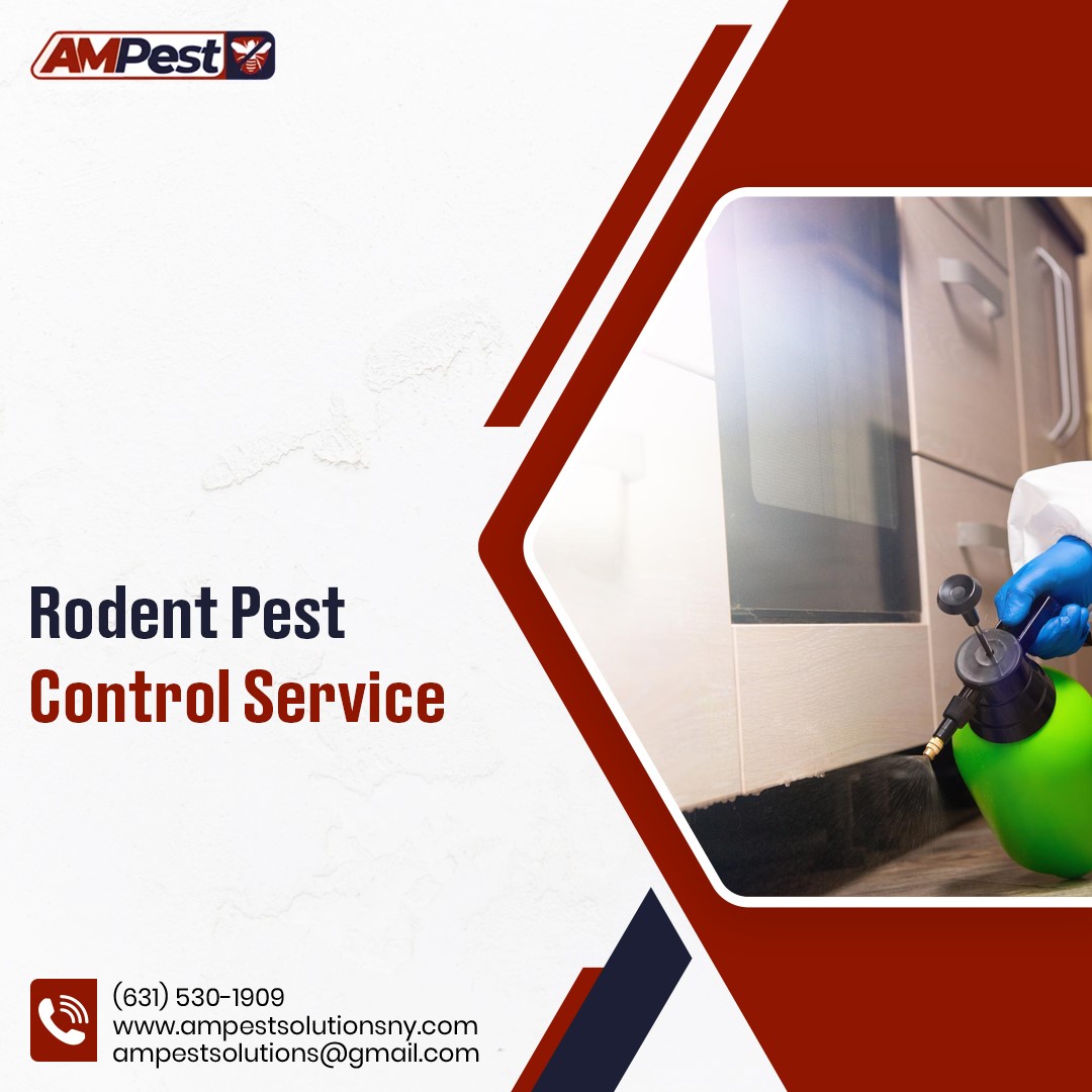 AMpestsolutions's tweet image. Rodents don’t pay rent, so why let them stay? 🐭🚫 Call AM Pest Solutions for effective rodent control services and reclaim your space today! 🏡

bit.ly/4cgMguE 

#RodentControl #NoMoreRats #AMPestSolutions #PestFreeLiving