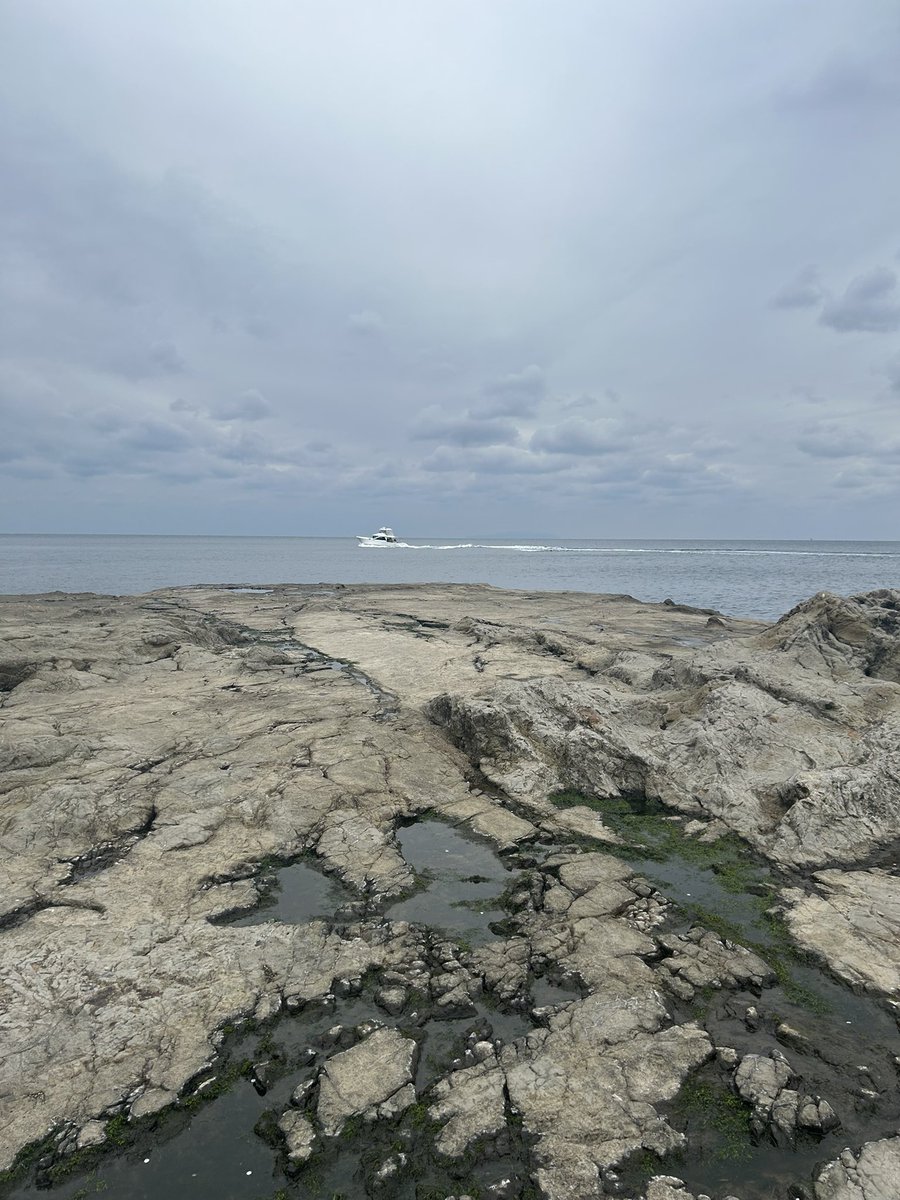 _nibobobo_'s tweet image. 天気の悪い江ノ島旅

#日常垢 
#日常垢さんと繋がりたい 
#服好きと繋がりたい