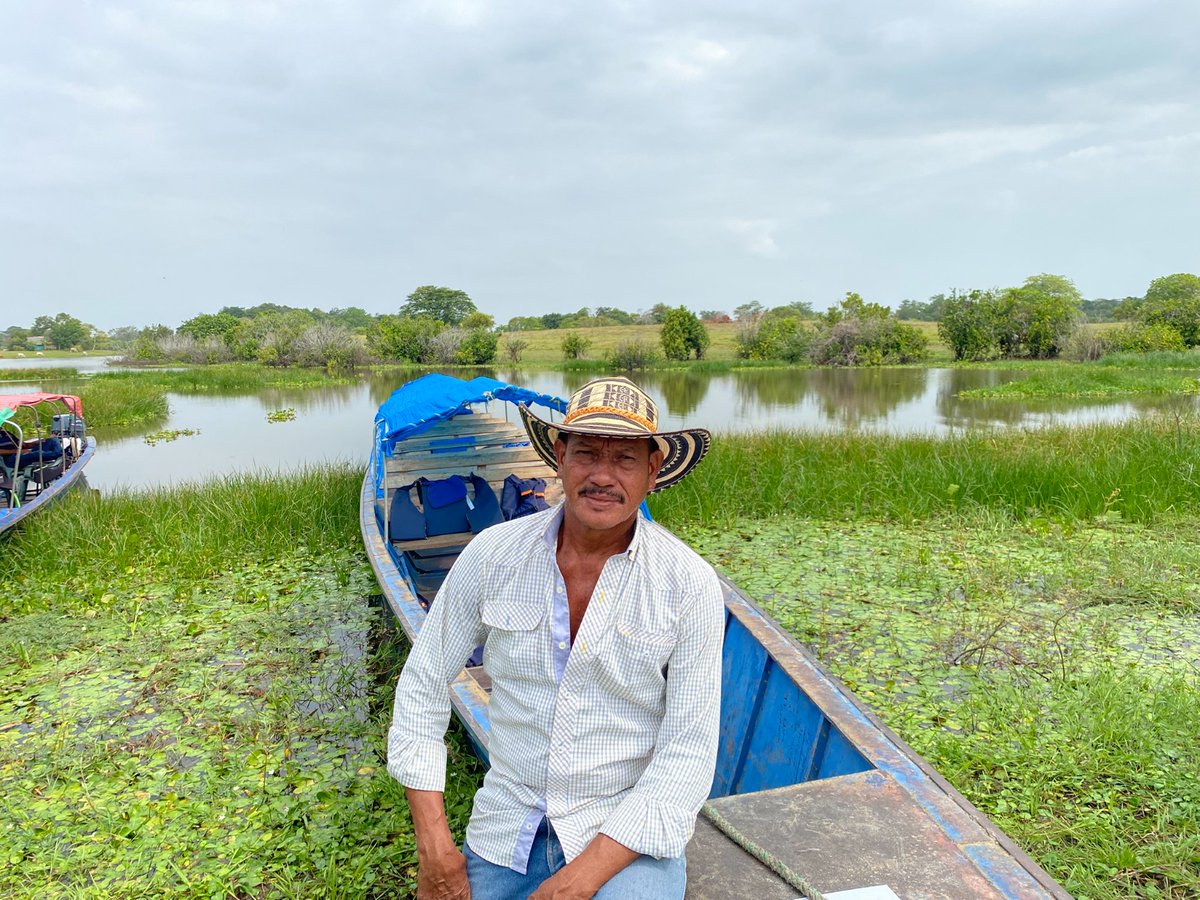 PnudColombia's tweet image. 🌱En esta región, en la vereda Perú en Ayapel, la comunidad trabaja por la restauración de humedales y recuperación del mangle. “Entre comunidades intercambiamos conocimientos. Esa es nuestra fuerza” – Remberto Rico. #LaMojana