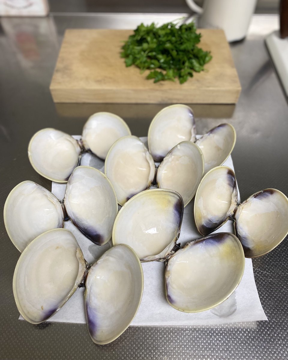 大っきい蛤〜🤍
愛知県三河湾産の真蛤が手に入ったので酒蒸しに。まー美味しい！！このシンプルな旨さはたまらんな🫶🏻肉厚なシズル感からのジュワッと溢れる旨さ(´v｀o)ｳﾏｳﾏ❤︎お出汁で蛤のペペロンチーノと思ったけどお腹いっぱいだから明日にしよ♡貝柱は貝の後ろをｺﾁｮｺﾁｮすると取れるよ☺️