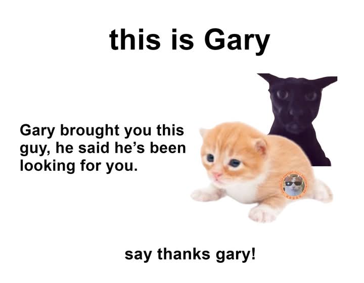 EXPLORECATS's tweet image. Gary is a good guy