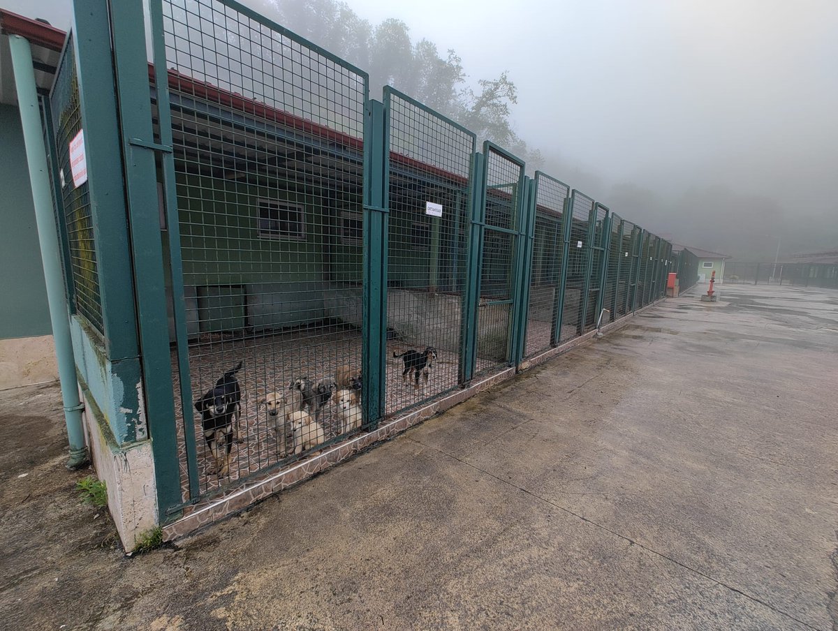 DKMP 12.Bölge Müdürlüğü Rize tweet media