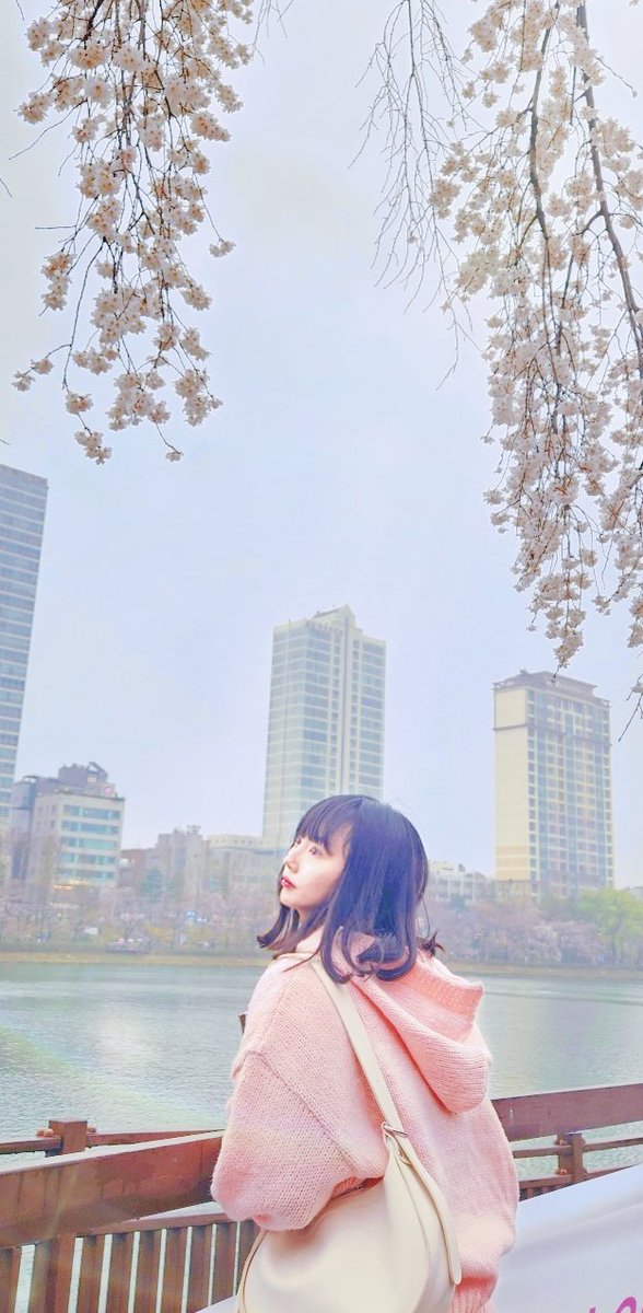 푸언니랑 꽃나들이🌸
많이 피진 않았지만 그냥저냥 힐링겸 걷기 딱이었다