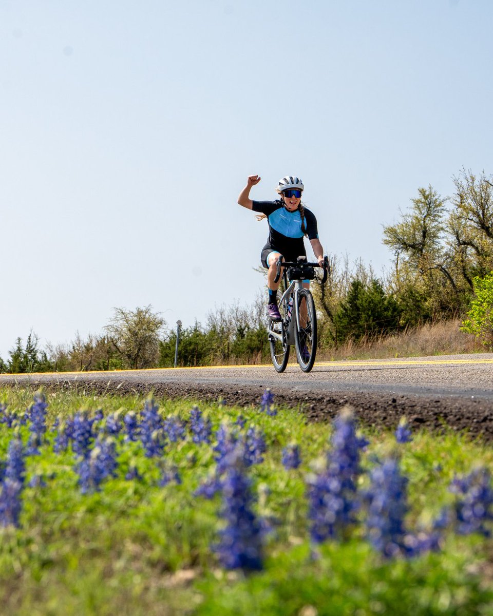 Trek Travel tweet media