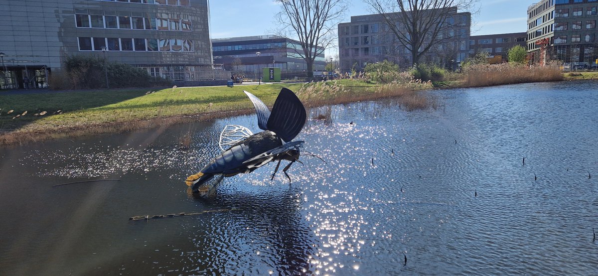 On 2-3 April ICROFS-CORE Organic partners shared based practices from the joint programming at Green ERA Hub event in Wageningen!