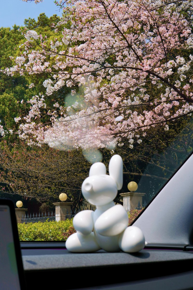 Tesla Asia tweet media