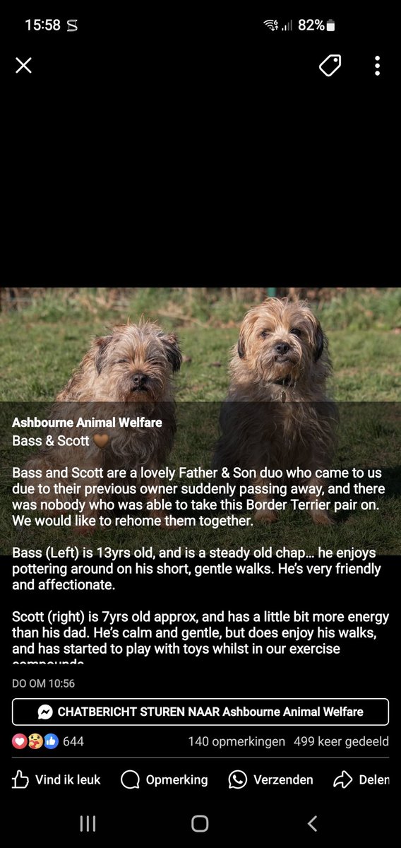 #btposse 
Hopefully these chaps find a loving  home.