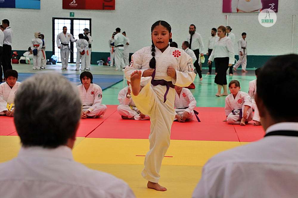 🔴  30°CAMPEONATO NACIONAL DE NIPPON KEMPO / 30 de marzo 2025, siendo sede el Centro Deportivo de Alto Rendimiento de Villas Tlalpan de  la Comisión Nacional de Cultura Física y Deporte (CONADE).🥋🥊🇲🇽
#nipponkempo #日本拳法 
📸Cobertura del evento: <a href="/SenderoArtesMar/">SenderoArtesMarciales</a>
