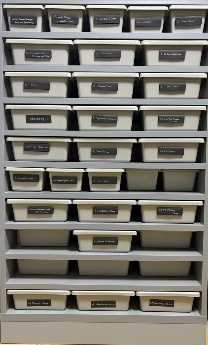 06snakeracks (@06snakeracks) / Posts / X