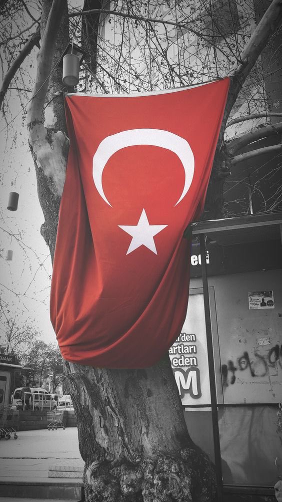 Yolumuzda, yolumuzu aydınlatan ışığımızda belli. Sizden olmadık, olmayacağız.
Ağalarınıza, beylerinize boyun eğmedik, eğmeyeceğiz! Elinizi öpmedik, öpmeyeceğiz..