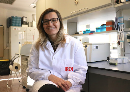 Global Virus Network (@globalvirusnews) on Twitter photo GVN Center Director Dr. <a href="/MajoAccount/">Natàlia Majó Masferrer</a>'s study explores advanced nanopore sequencing for avian influenza virus (AIV) analysis, highlighting improved accuracy in AIV genetic characterization and potential for on-site monitoring. Read more: ow.ly/jn6E50VtvF6 #OneHealth <a href="/CReSA_r/">IRTA-CReSA</a> GVN Center Director Dr. <a href="/MajoAccount/">Natàlia Majó Masferrer</a>'s study explores advanced nanopore sequencing for avian influenza virus (AIV) analysis, highlighting improved accuracy in AIV genetic characterization and potential for on-site monitoring. Read more: ow.ly/jn6E50VtvF6 #OneHealth <a href="/CReSA_r/">IRTA-CReSA</a>