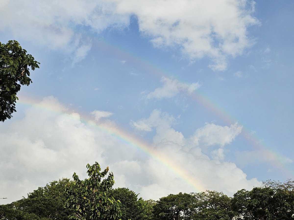 S7rik3R's tweet photo. Blessed Saturday. Rainbow and Common Flameback during the run.

#Nike #JustDoIt #Saturday #Running #Rainbow #NRC #CommonFlameback https://t.co/oAroEziQUe