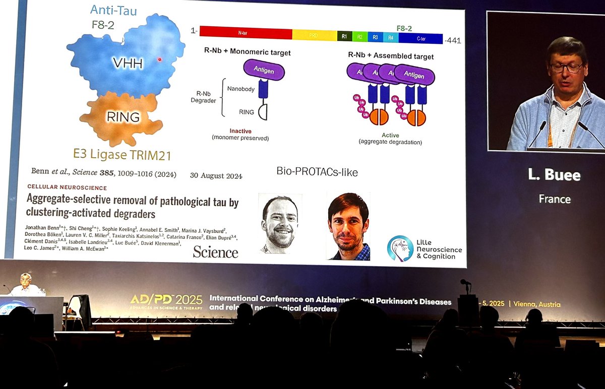 ChoLab_Synapse's tweet image. Very interesting talk by Dr Buee 🇫🇷, THE USE OF ANTI-TAU SINGLE DOMAIN ANTIBODIES (VHH) IN DIAGNOSIS AND THERAPY OF TAUOPATHIES. Smart approach 🎉 !! Could be a game-changer? #Tau #ADPD2025 @adpdnet