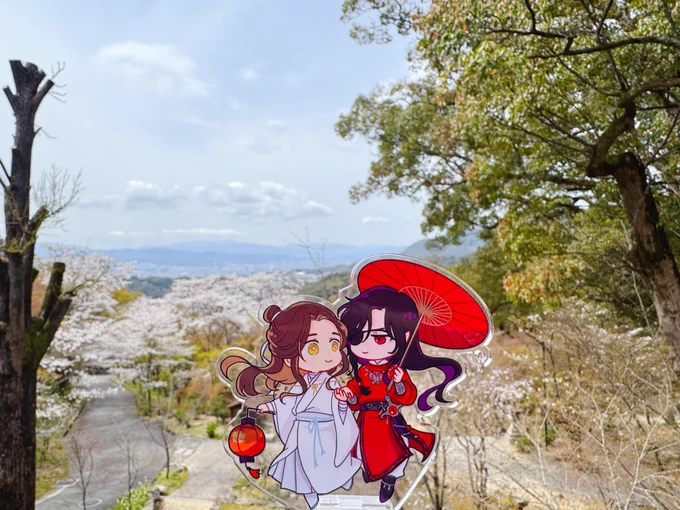 お見 