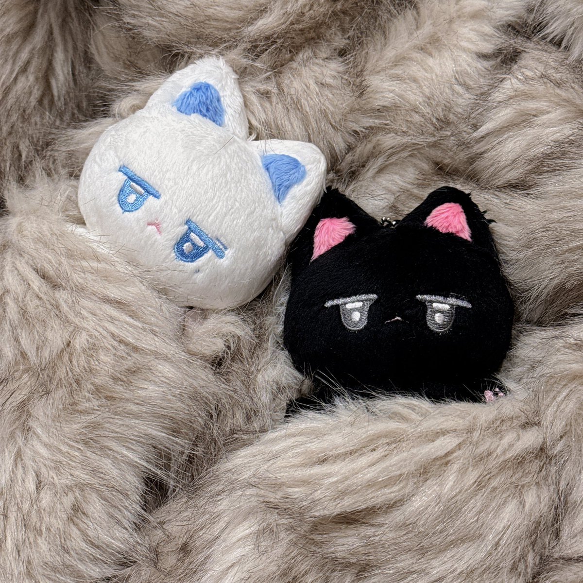 에이티즈 우영 10cm 인형 흰 우녕이 재고 및 검은 우녕이 2차 판매 공지
♡🐾 /ᐠ - ⩊ -マ Ⳋ ♡🐾

🤍 forms.gle/n2ADowoSAKBpWw…
~ 재고 소진시

🖤 forms.gle/kkwsXTr8jn5kn8…
~ 04.30
GO ➡️ DM

RT 추첨 한 분께 우녕이를 보내드립니다≽^·⩊·^≼

#우영 #에이티즈 #정우영 #ATEEZ #WOOYOUNG