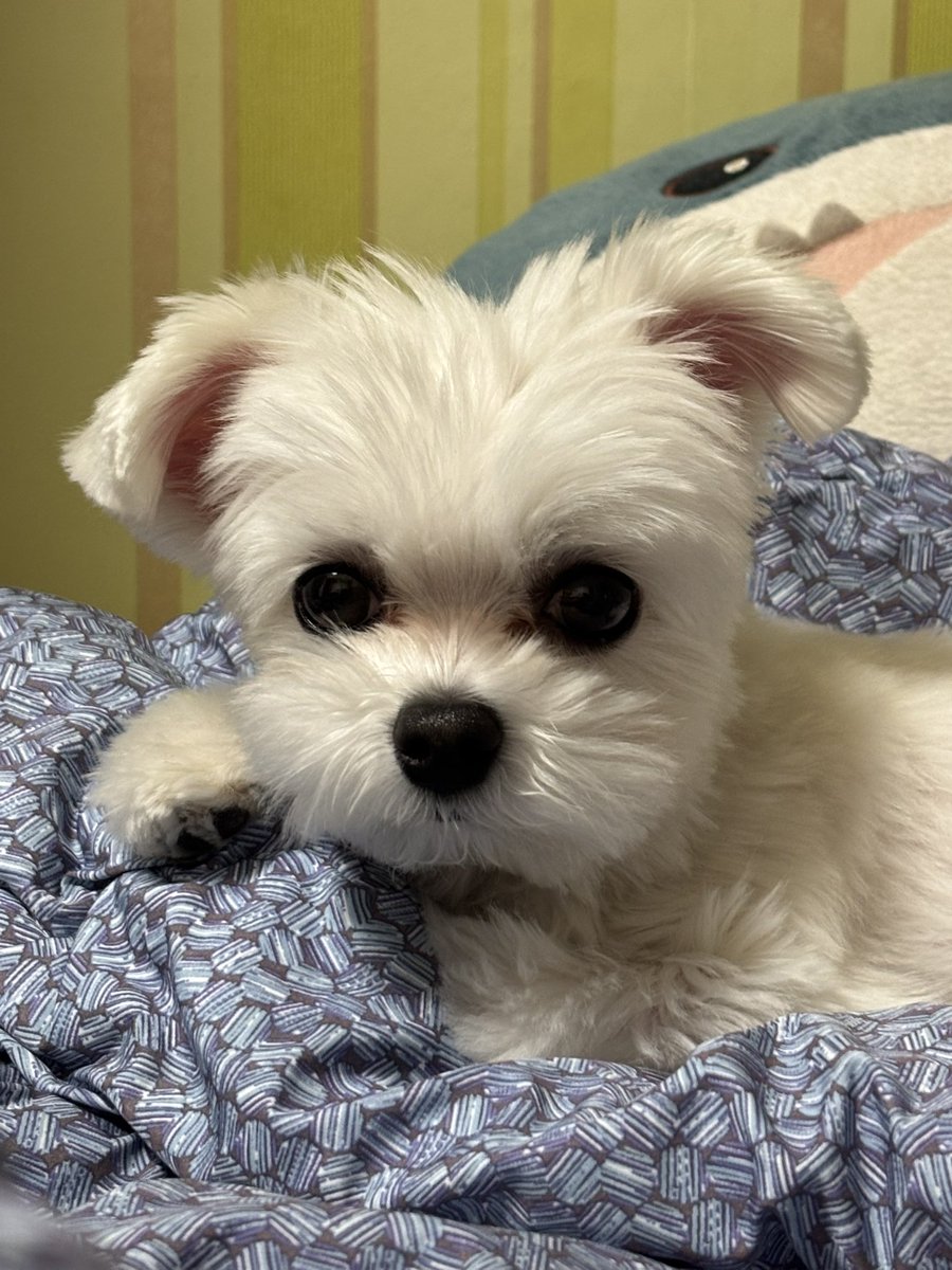 견생 4년차에 대통령 두명째 보는중