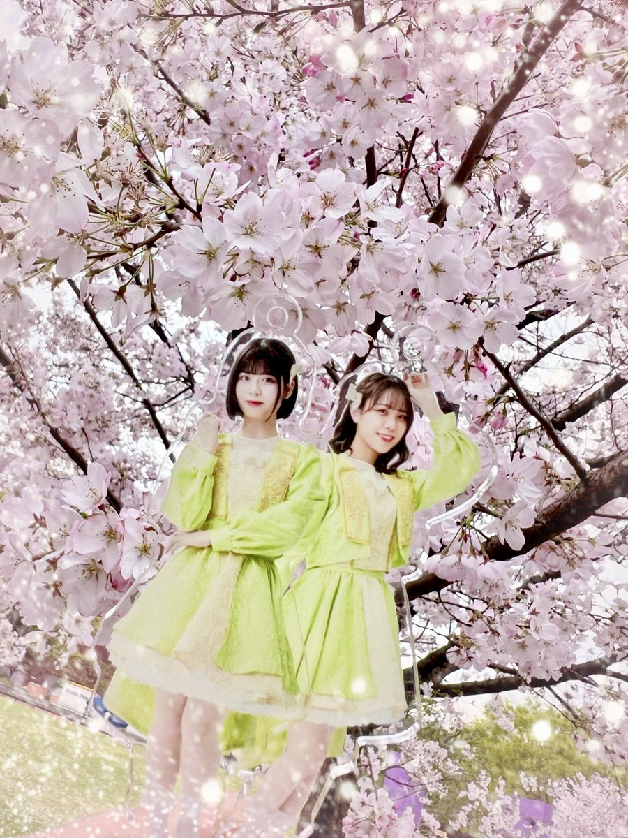 Takechan_TKP's tweet photo. @MIRA02_MOG 気分だけでもお花見してね🌸

あと…
大切なことなので もう一度言いますね✨

桜が好きです。
でも､みらさんのほうがもっと好きです。
(⑅˃◡˂⑅)きゃは♡ https://t.co/1emIJzRtng