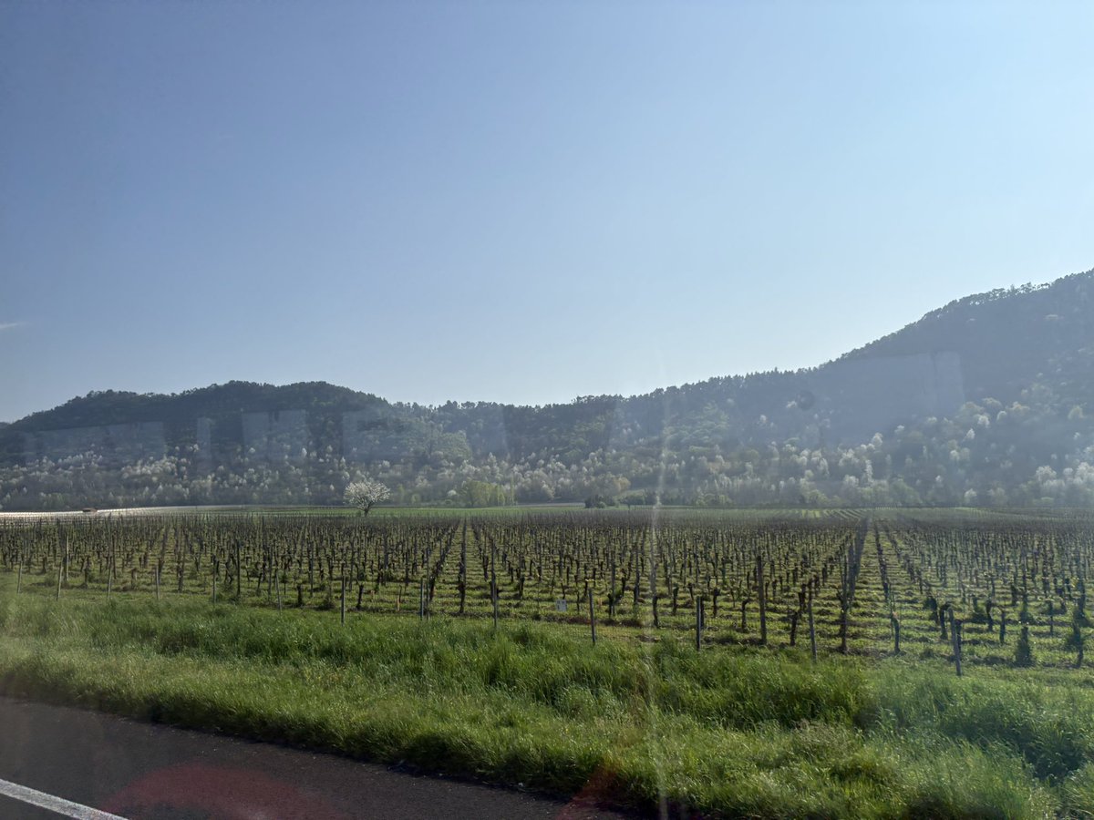 BHCS SKI TRIP 2026 (Kitzbuhel) tweet media