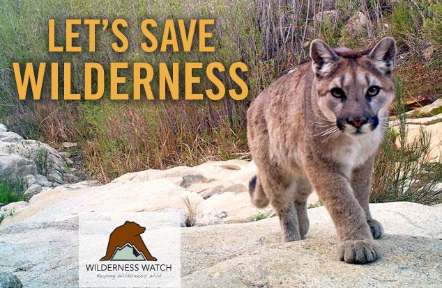 If you value Wilderness and the wildlife that call it home, please consider becoming a Wilderness Watch member.  

Now's a great time to join, because all donations up to $30,000 will be matched—DOUBLED—by one of our generous members!  

Donate today —&gt; wildernesswatch.salsalabs.org/give-to-wilder…