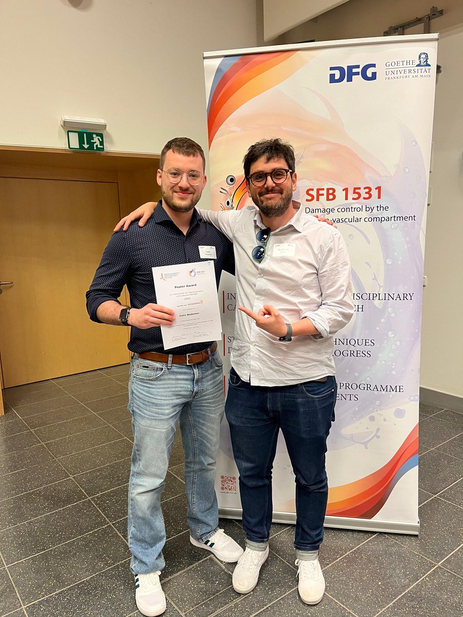 Colin Bodemer (@cbodemer1) on Twitter photo What a week! I am grateful for all the positive feedback and the poster award our work on cardiac stiffness and endothelial cells got at pcvb2025.de. Thanks to the organisers and best supervisor a PhD student can ask for <a href="/gluxan/">Guillermo Luxán</a> <a href="/SFB1531/">SFB 1531</a> <a href="/InstCardReg_FFM/">Institute of CVR</a> <a href="/CPI_ExStra/">CPI</a> What a week! I am grateful for all the positive feedback and the poster award our work on cardiac stiffness and endothelial cells got at pcvb2025.de. Thanks to the organisers and best supervisor a PhD student can ask for <a href="/gluxan/">Guillermo Luxán</a> <a href="/SFB1531/">SFB 1531</a> <a href="/InstCardReg_FFM/">Institute of CVR</a> <a href="/CPI_ExStra/">CPI</a>