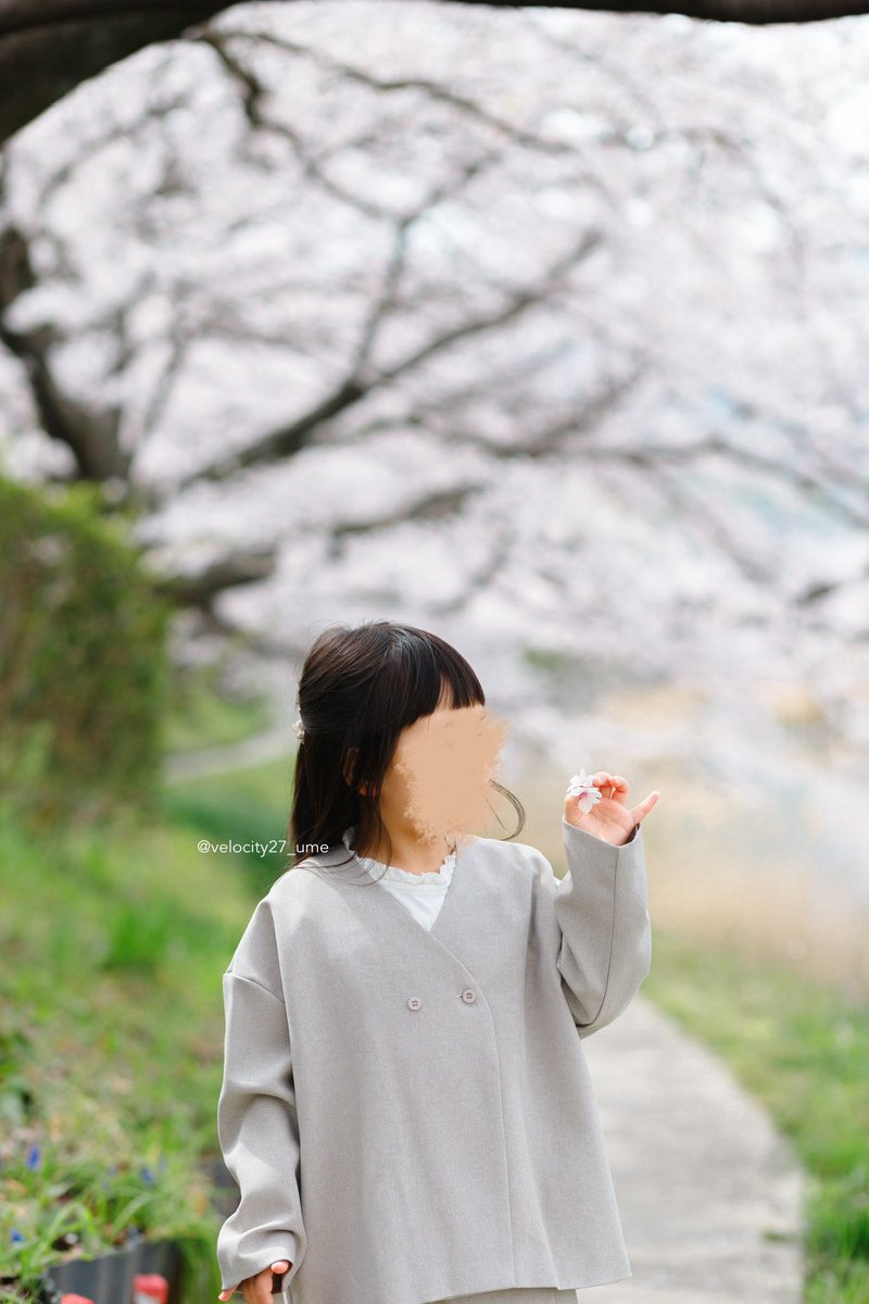 うめちゃん→ (@velocity27_ume) / X うめちゃん→ (@velocity27_ume) / X