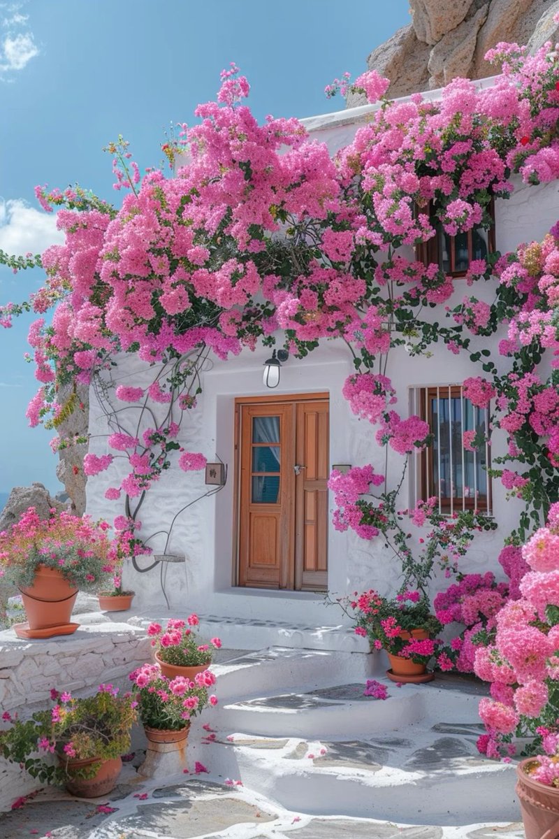 Beautiful 

(📷 Pinterest)