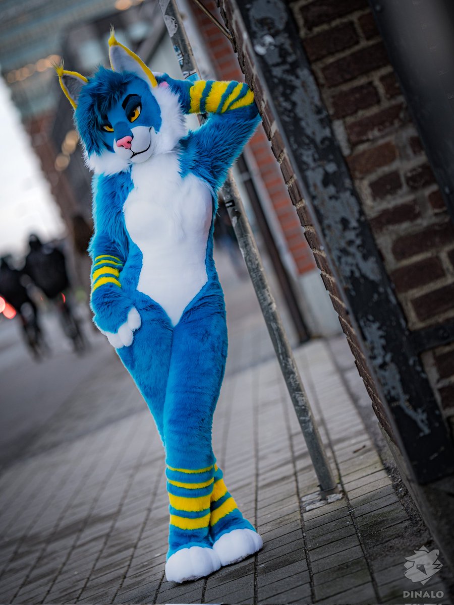 😏&gt;
≤/
/\

📸 <a href="/DinaloFoxxo/">Dinalo❣️🦊 🔜 Megaplex</a>