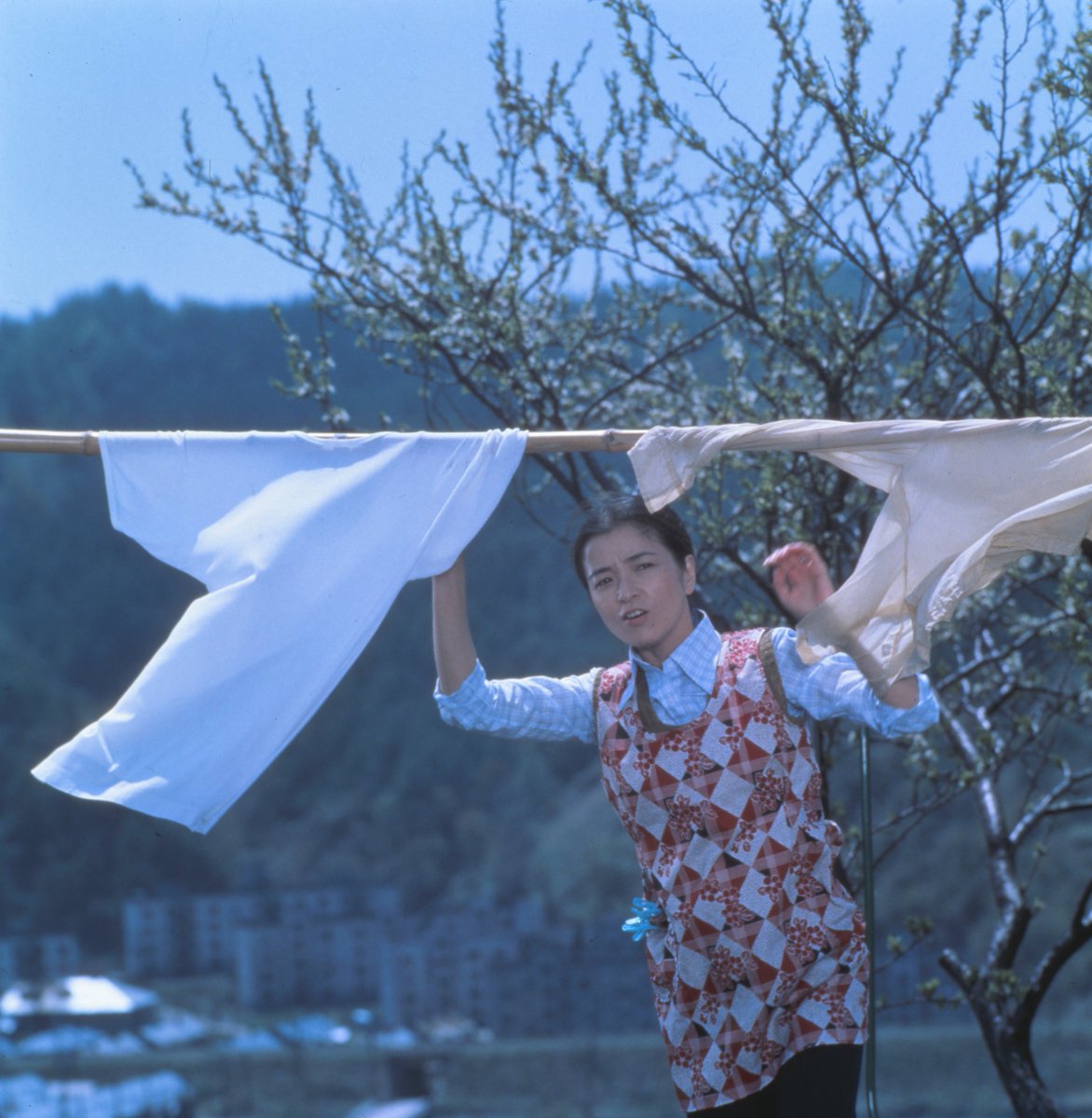 ／
本日6日限り！
＼
#倍賞千恵子 トーク
「わたしと映画と北海道」開催記念展示
［場所］札幌駅前通地下歩行空間（出入口７と９の間）
［時間］10：30〜18：00
過去作のDVD販売や予告編上映、ポスターなどを展示🍿
ybk3.jp/event/chikaho_…
#キャプテンポップコーン
#鰹節ノ富樫政雄商店 <a href="/yupei78/">札幌【鰹節屋さん🐟富樫政雄商店】ゆうへい🐟</a>