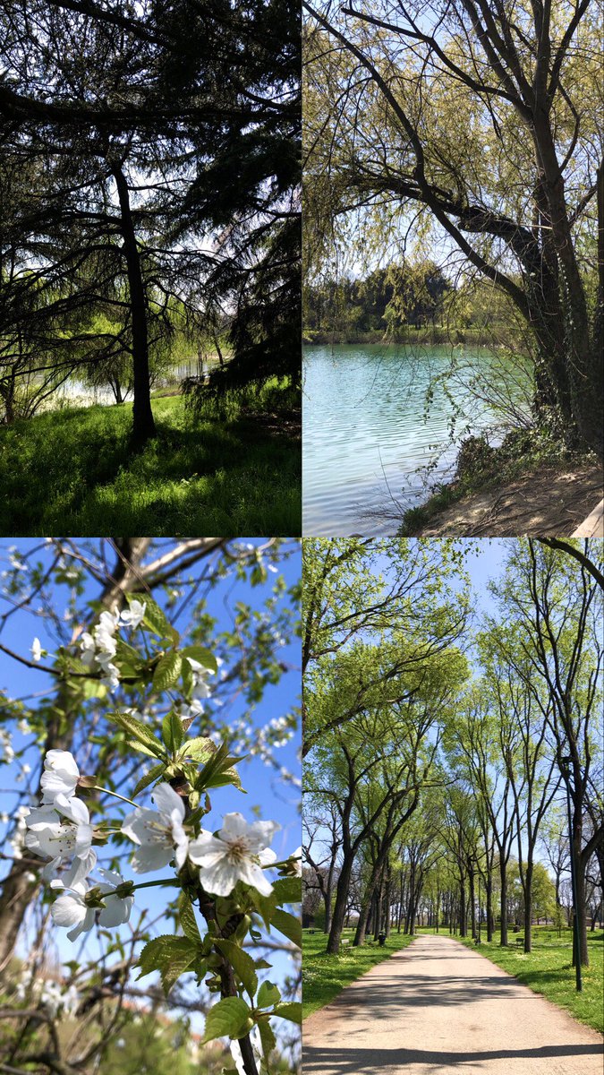 These days🍃🌼✨💆🏽‍♀️