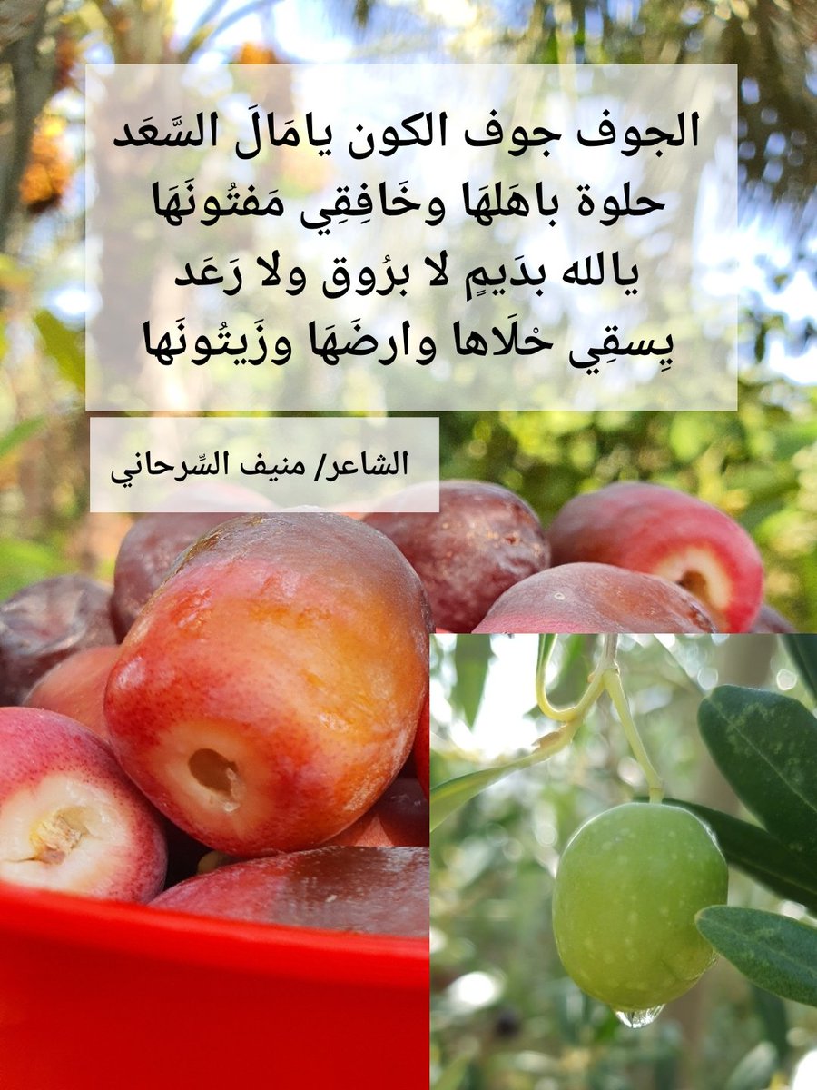 منيف عبدالله السرحاني (@almonef10) on Twitter photo 