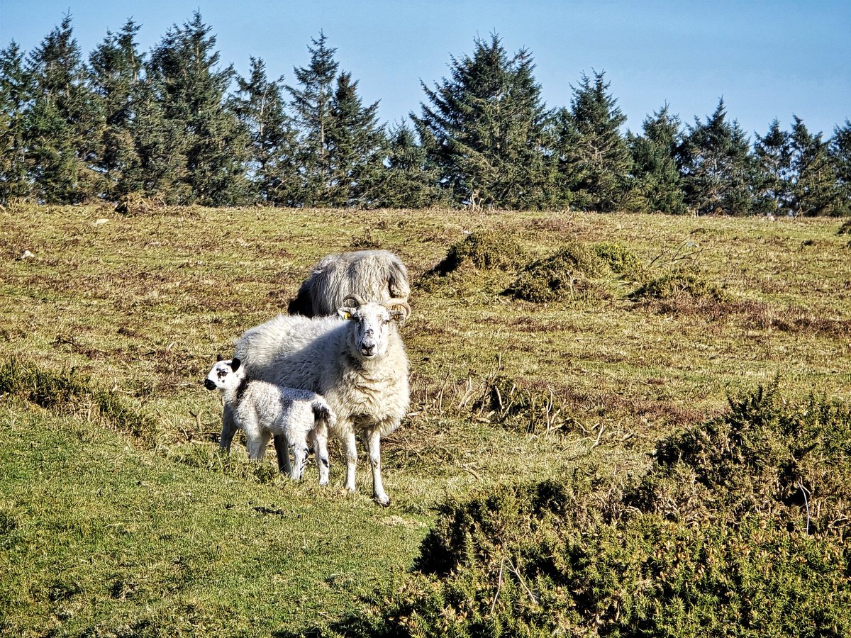 Mark_Hand tweet media