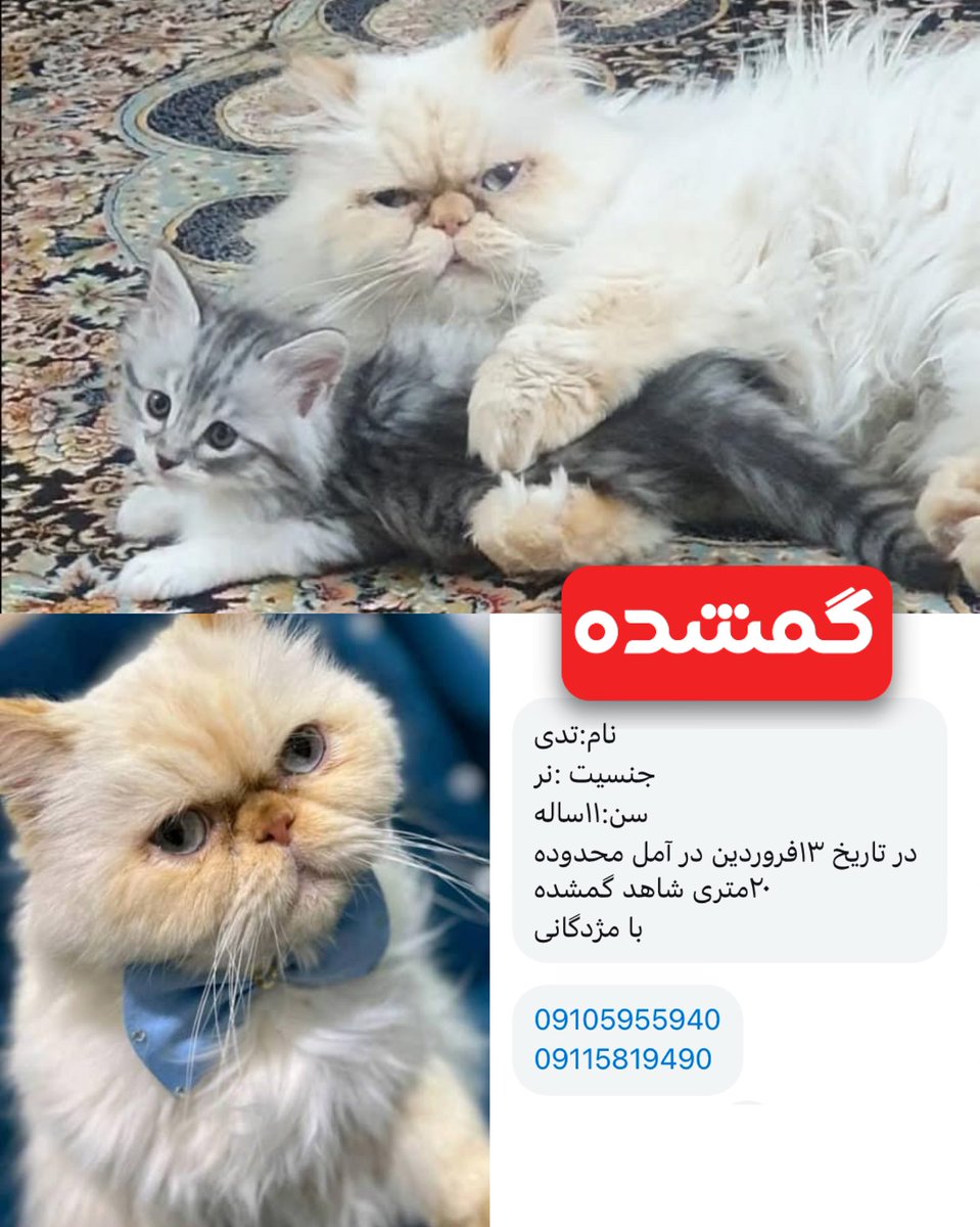 با به اشتراک گذاشتن اگهیش کمک میکنید این بچه به خونه برگرده🙏🏽