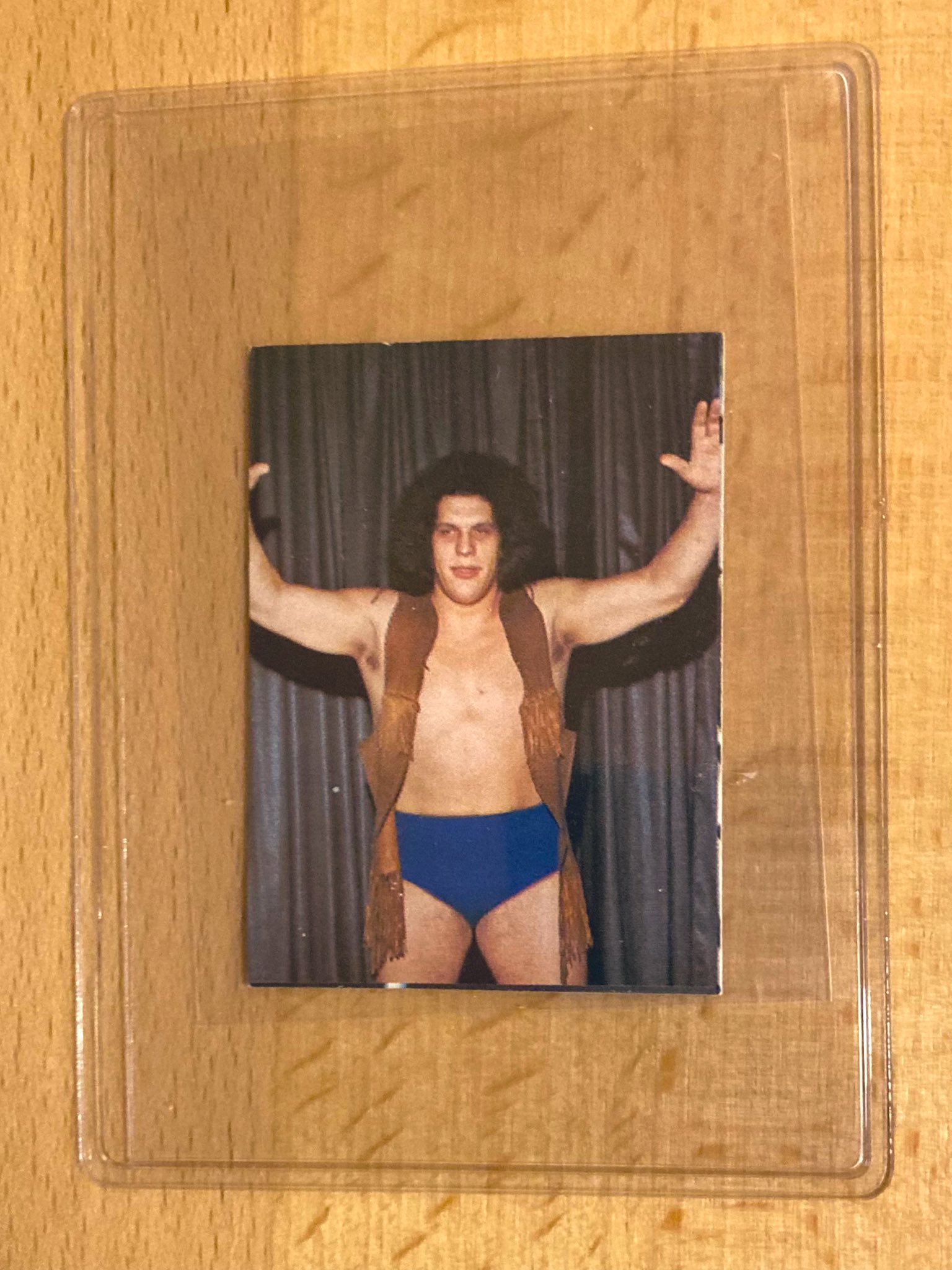 アンドレ・ザ・ジャイアント - Search / X