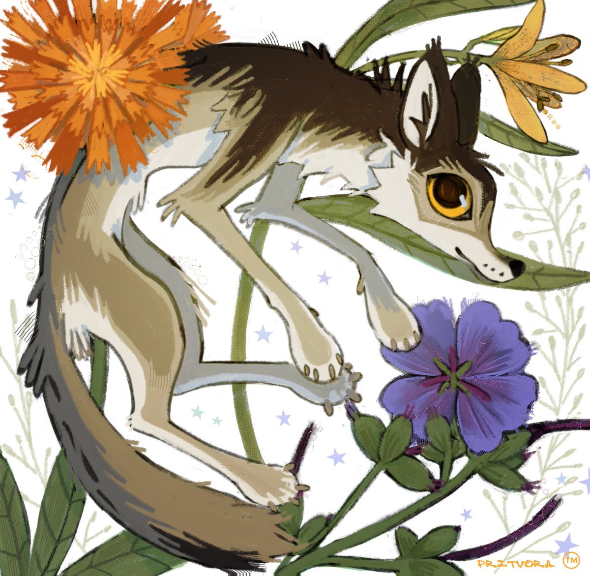 pritvoraa's tweet image. Комишка 🌱⭐️