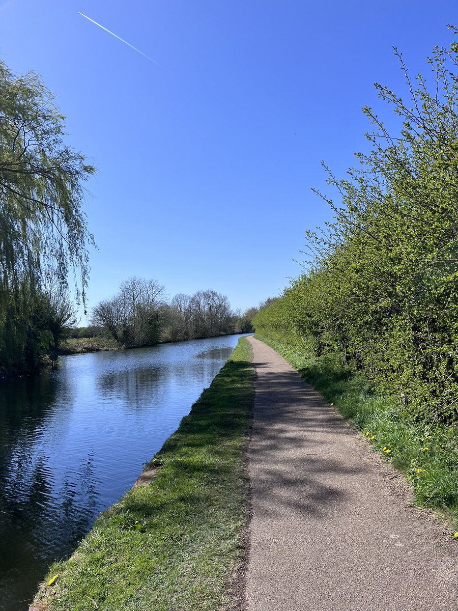 Amnah Iqbal tweet media