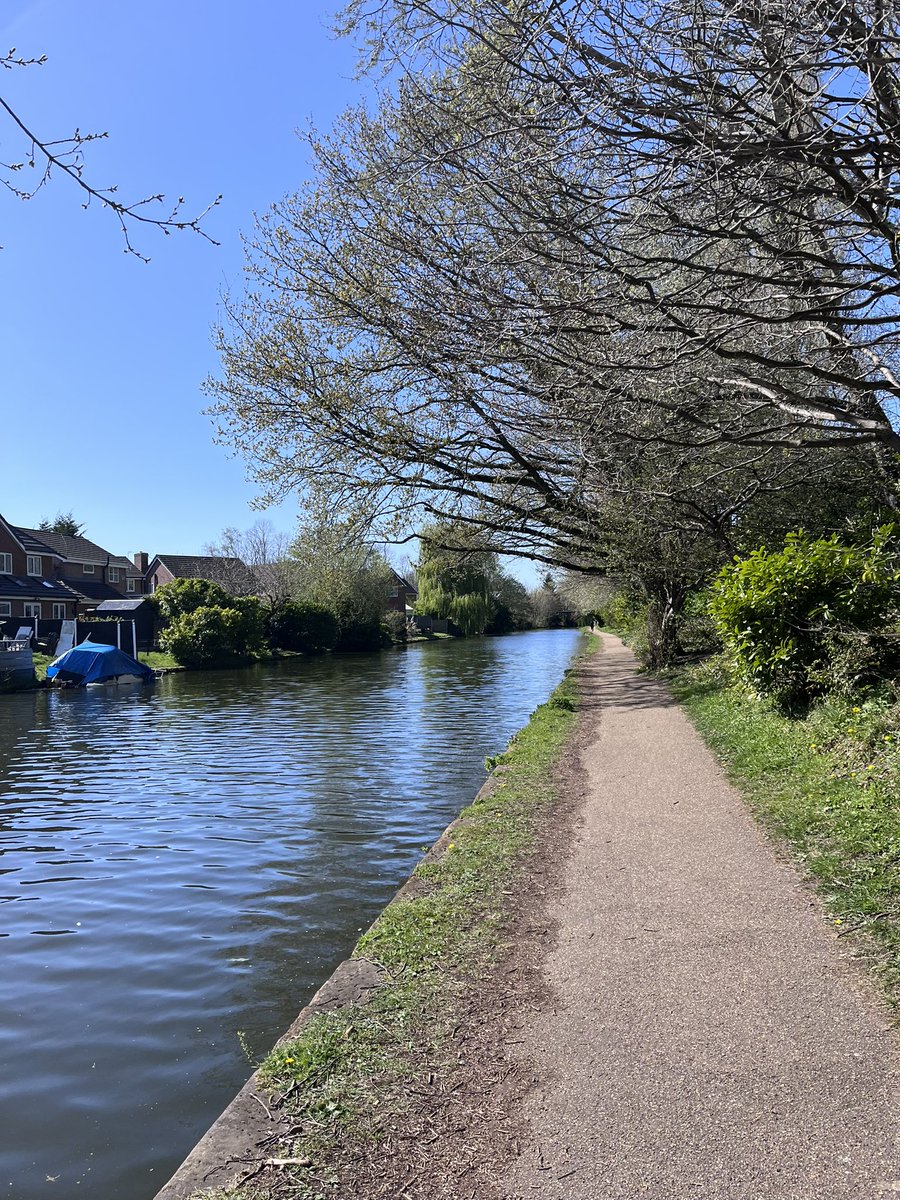 Amnah Iqbal tweet media