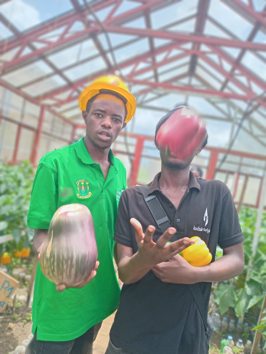 Happiness of farmers is harvesting period 
<a href="/Sweetpeppers/">Sumal Prakash</a>
<a href="/Agribusiness/">agribusiness</a>