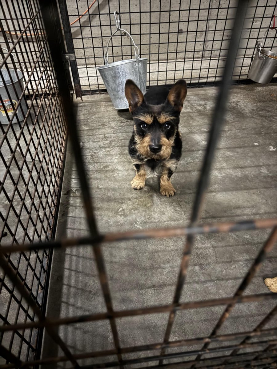 Shaindel Beers 🍻 tweet media