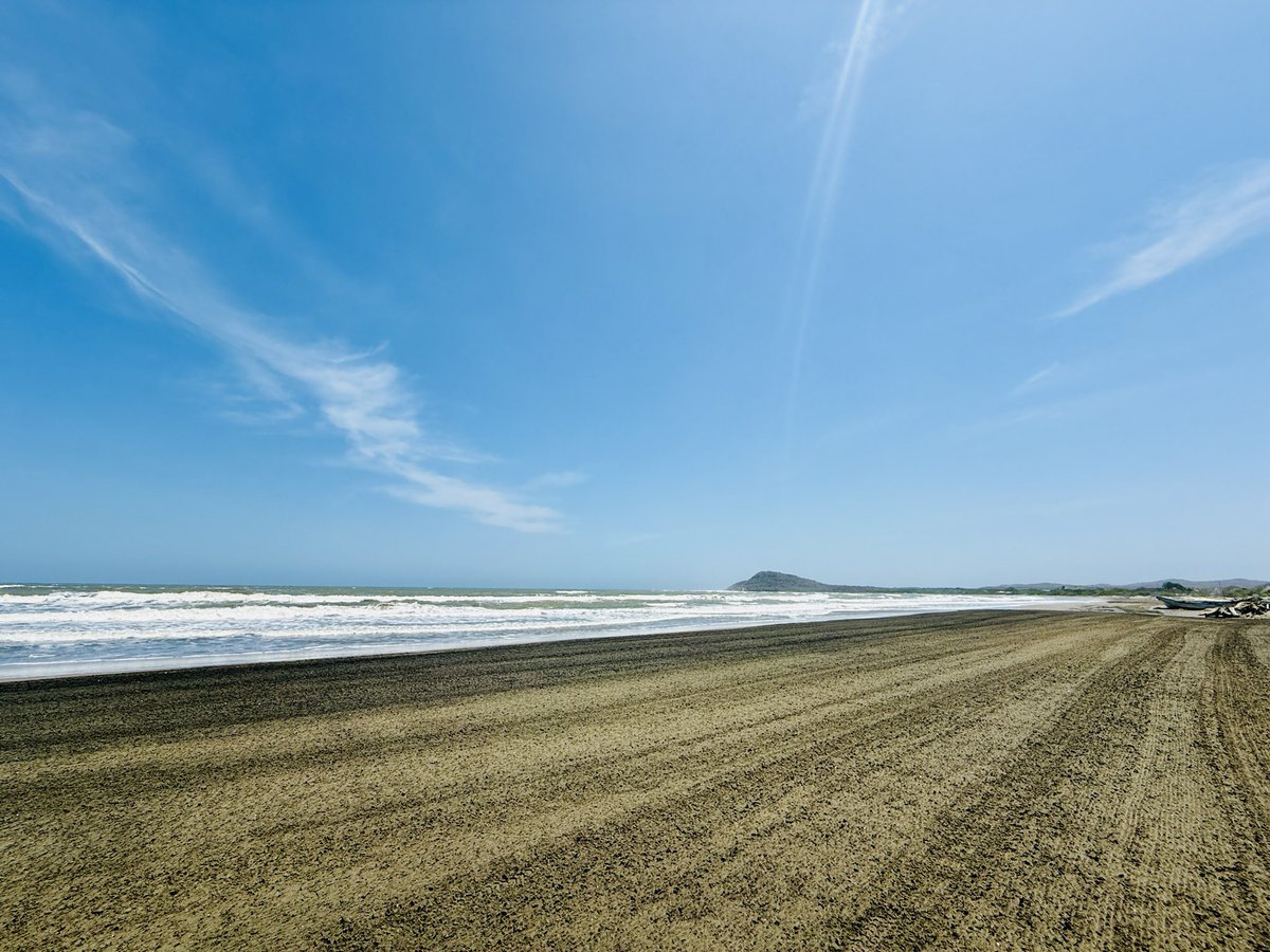 Eduardo Verano de la Rosa tweet media