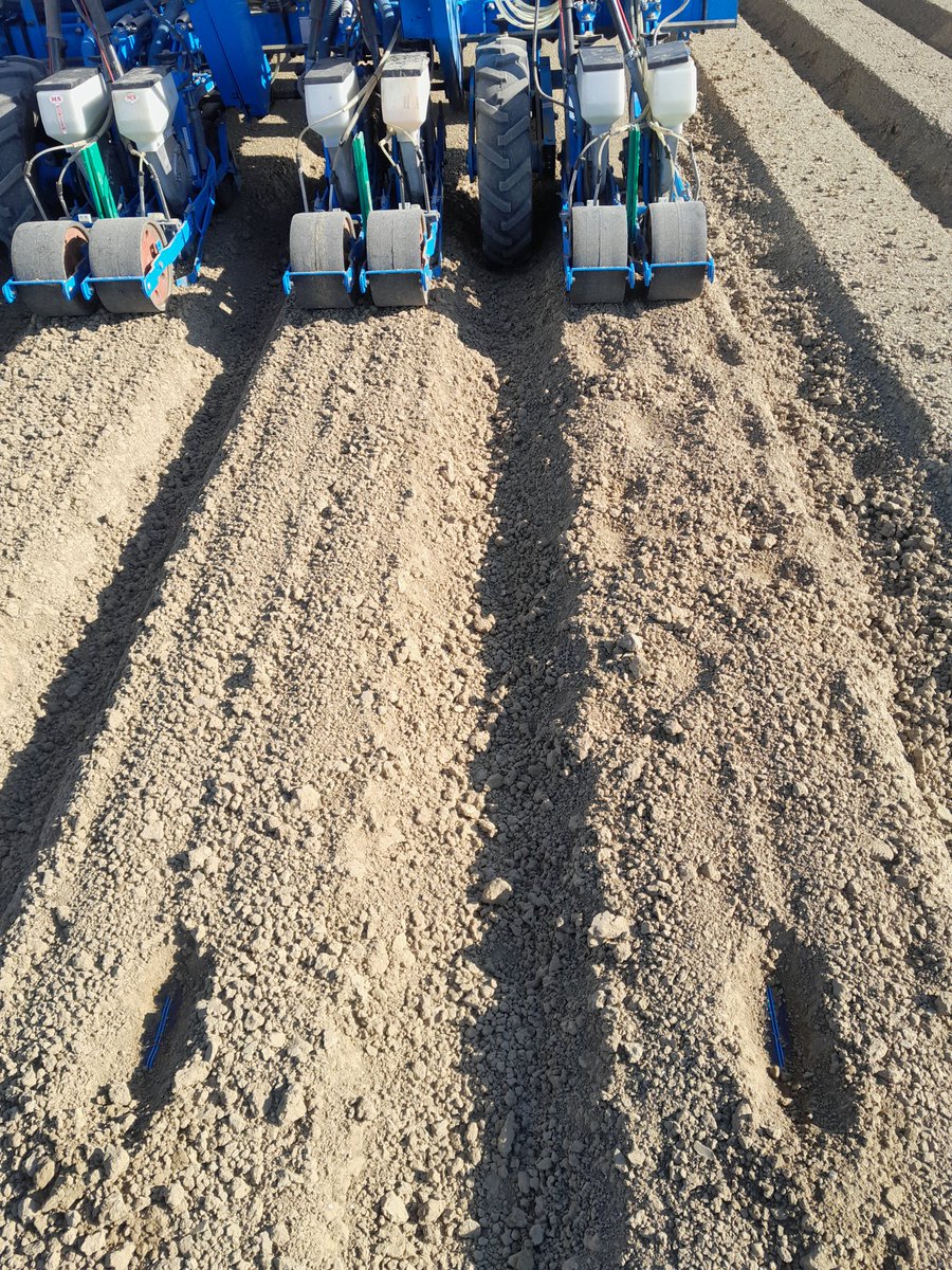 Het blijft gort #droog #voorjaar in #zeeland. Nu in Schoondijke op gefreesde ruggen zaaien met #driptape #irrigatie uit een bassin. Met regenwater en uit samengestelde drainage gevuld. Snel aansluiten en water erop! #oogst25 is een uitdaging!