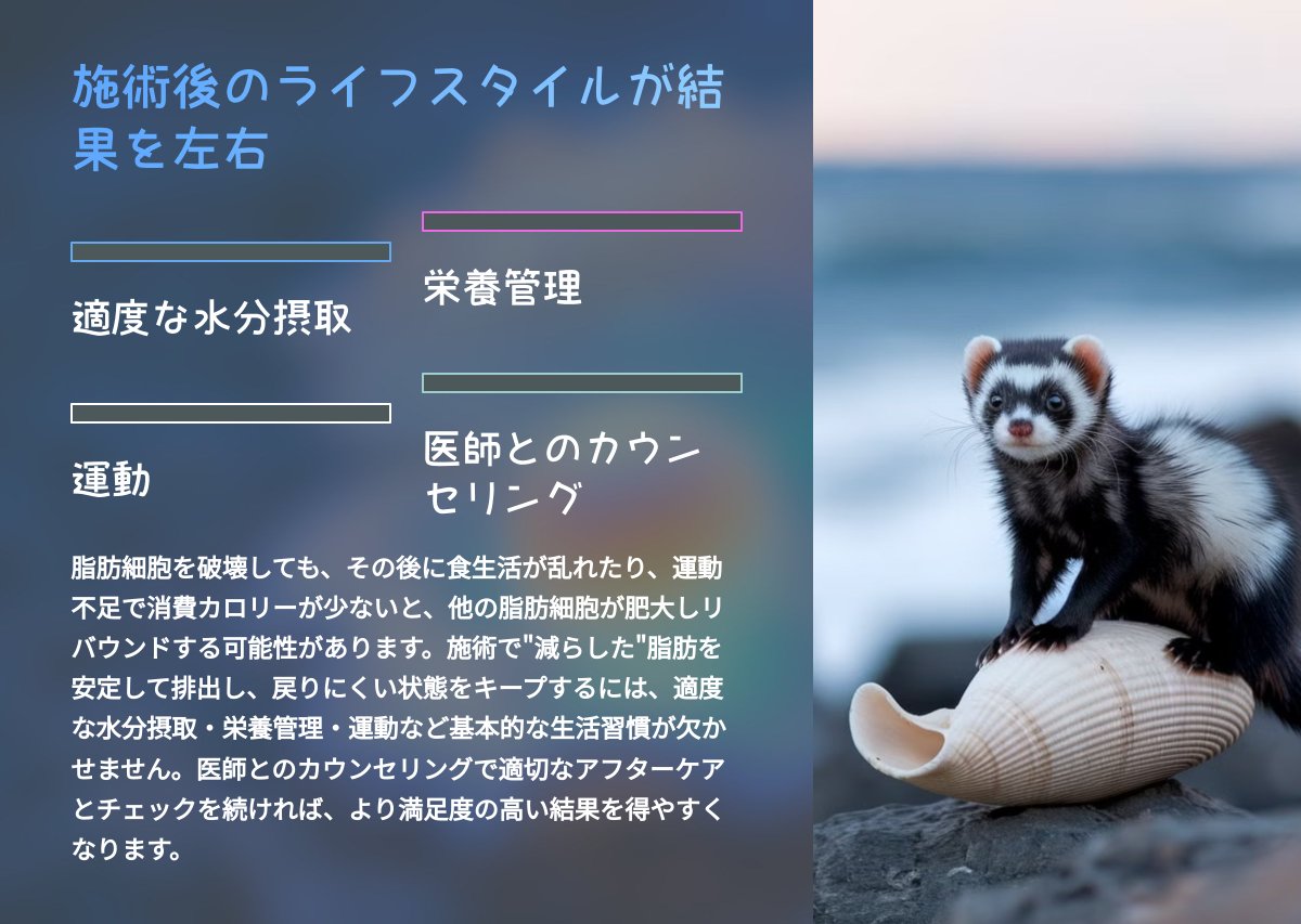 inamoriclinic's tweet photo. FATXでなんで脂肪細胞がなくなるの？🤔

答え→脂肪溶解注射などで破壊された脂肪細胞の中身（脂肪酸やトリグリセリド）は血液やリンパに溶け出し、体内で代謝・排出される👏

「注射して終わり」ではなく、施術後のケアで代謝や排出を促進することが重要🔎
#いなもり先生 #FatX #ボトックス https://t.co/gIsVhf6voA