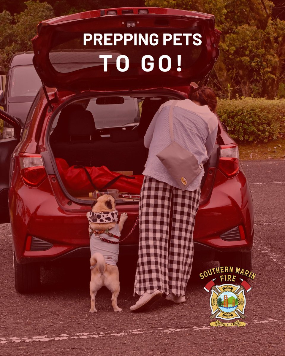 You may be ready for the next emergency, but did you remember to prepare your pet too? 🦴

The CDC has more excellent resources for keeping our pets safe during emergencies → cdc.gov/healthy-pets/e…