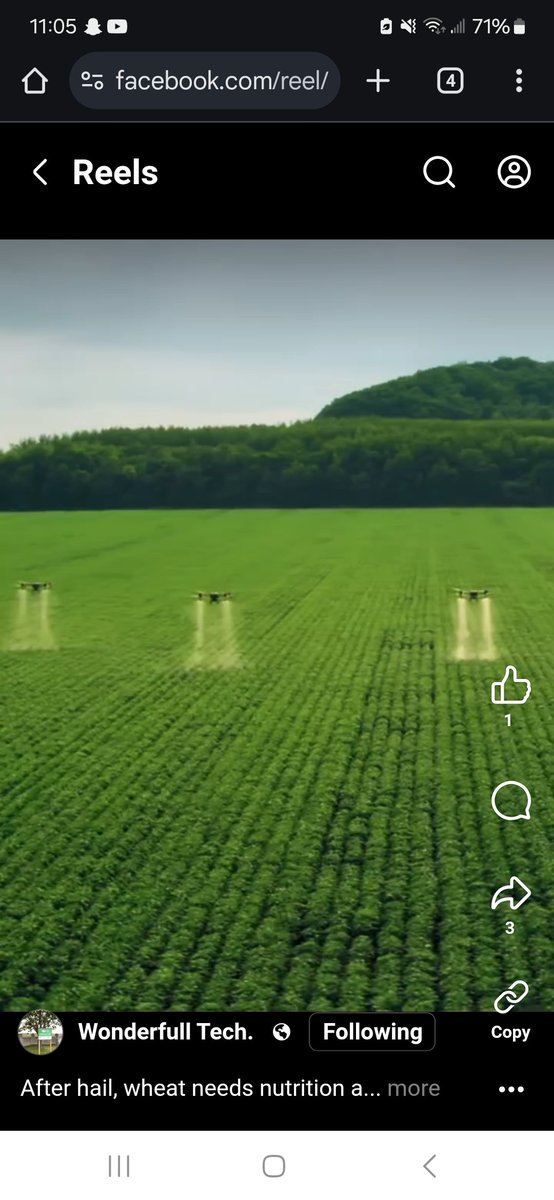 Ryan Hofford tweet media