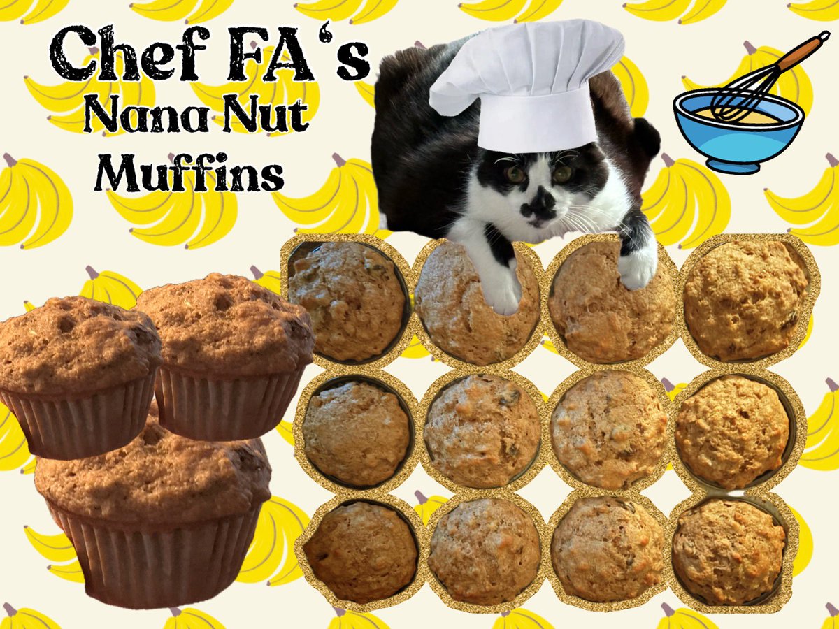 pvisnesky's tweet photo. @e_elliebinker @JanisMcEldowney Momb and I bake lots, we can teech yoo!! 😸🧑🏻🍳 #HWCafe #ChefFA https://t.co/RiuNIz7J0u