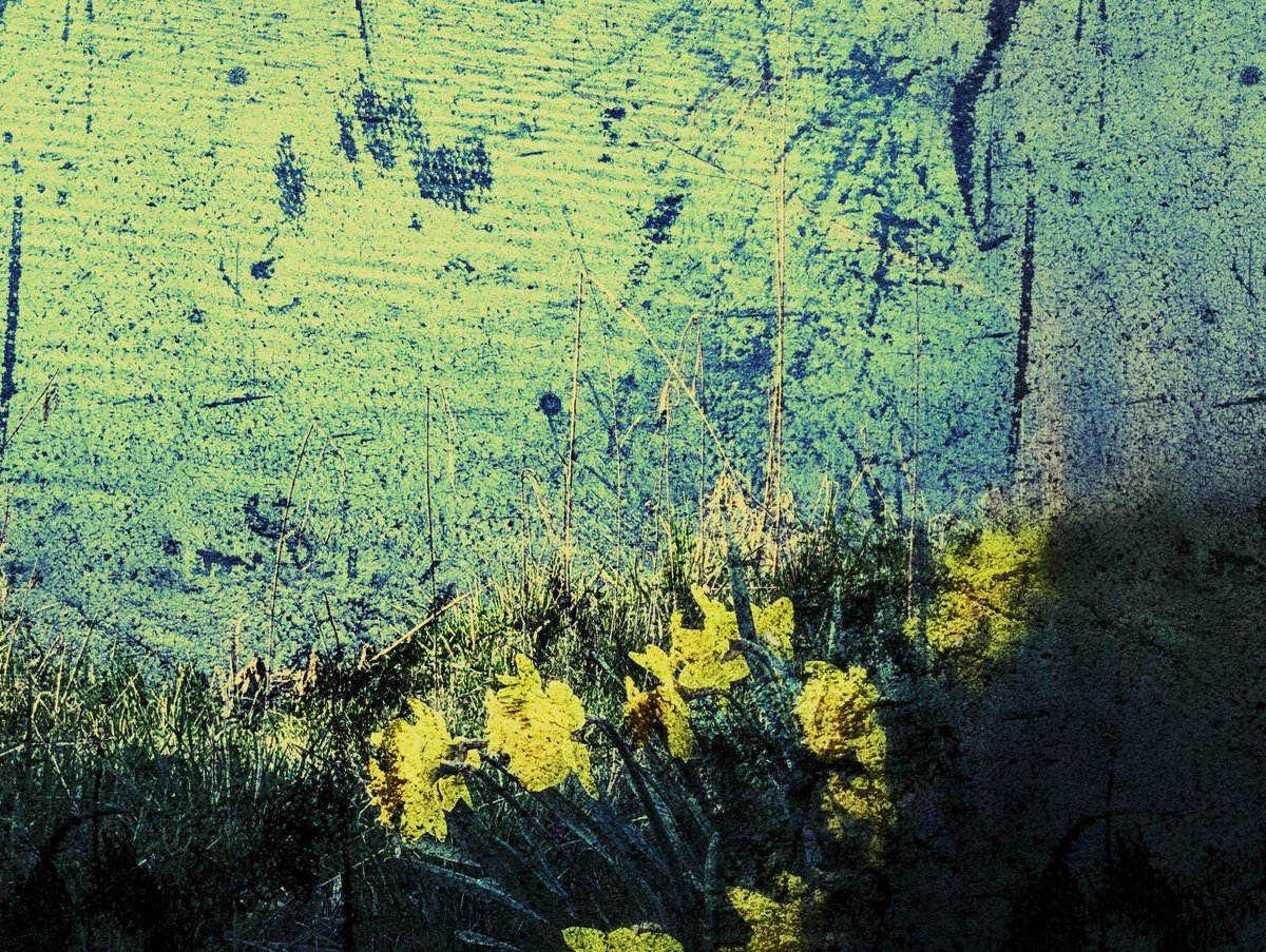 Helenablava's tweet image. Renacer, desafiando verbos oscuros.