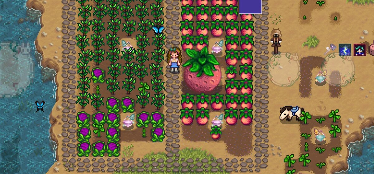 lumineerg's tweet photo. es la primera vez que consigo un melon gigante omg https://t.co/ZljHTkbNdp